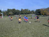 Click to see PA210100.JPG